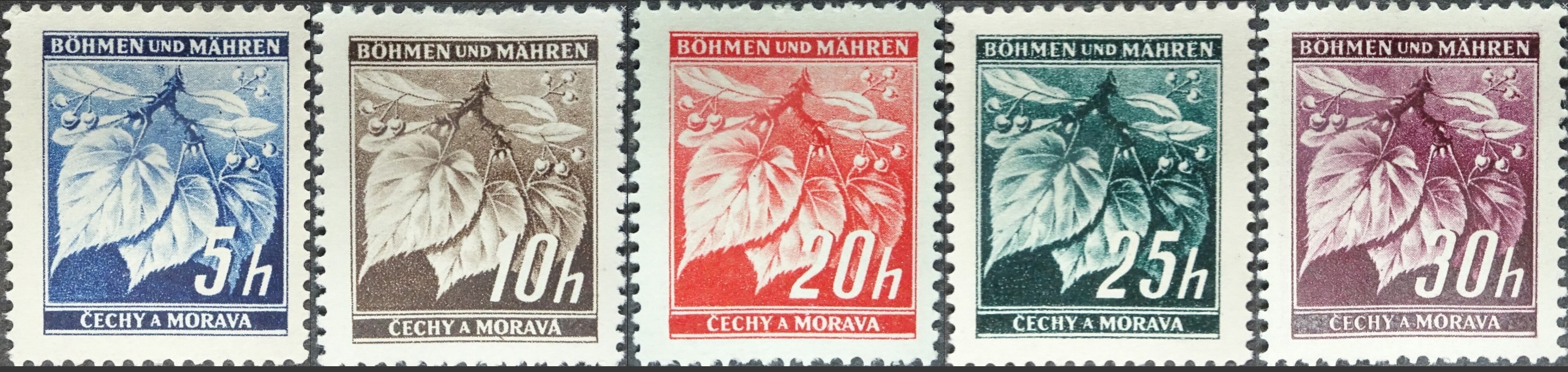 lindenleaves39