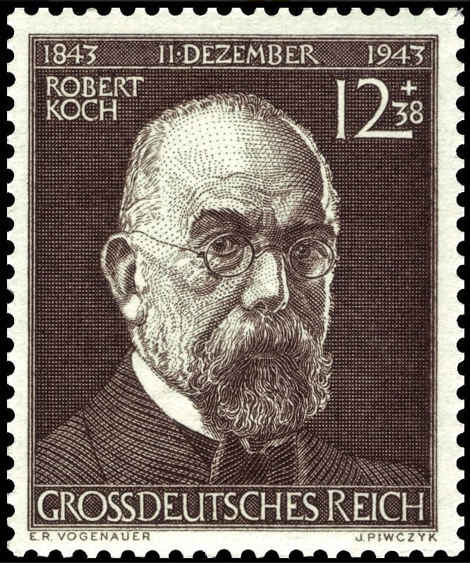 koch44